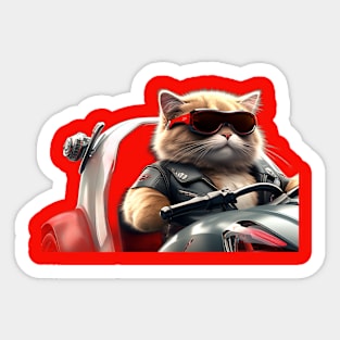 Funny cat playing Sticker